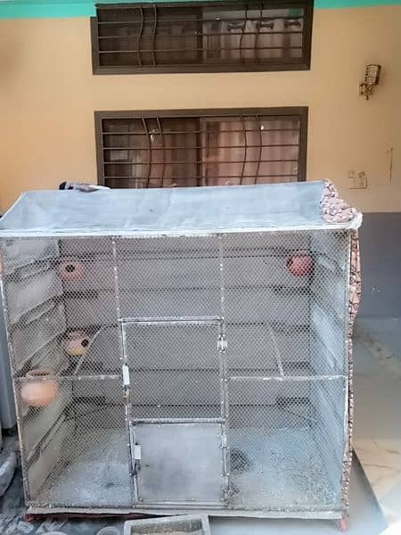 Big steel cage for sale 8