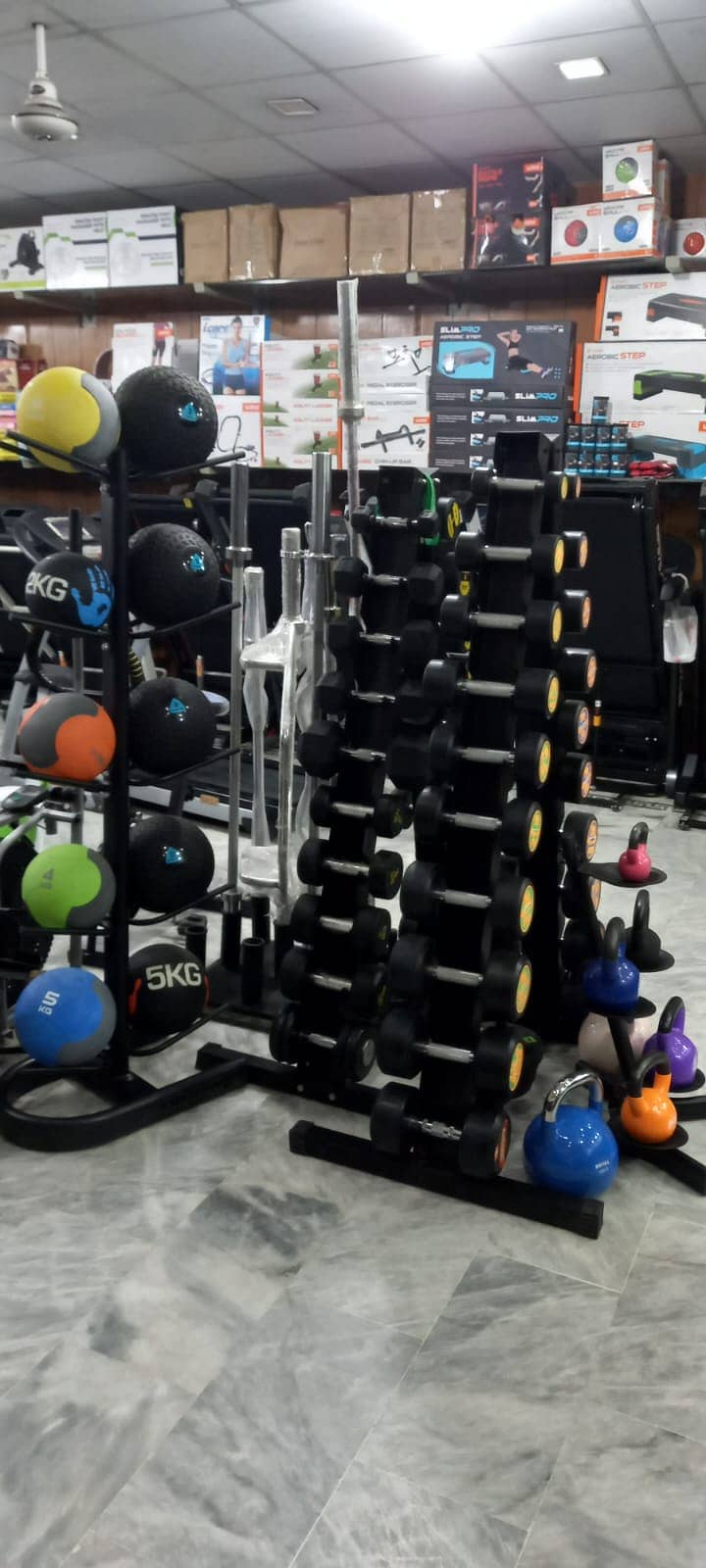 Dumbbells, Rod, Weight Plate, Banch, Twister stand home use available 11