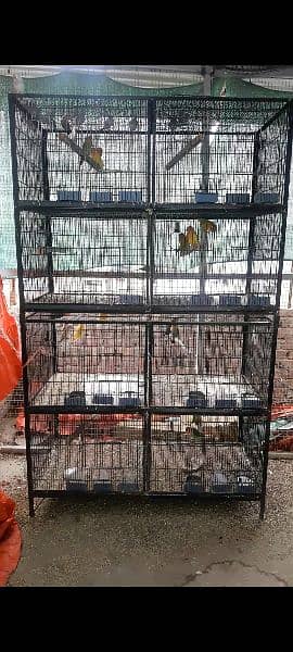 LOVE BIRD & JAWA BEST BREEDING CAGE CONDITION 10/9