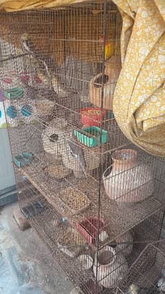 birds cage for sell