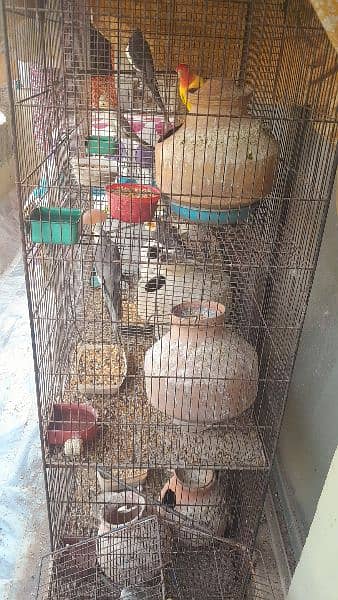 birds cage for sell 1