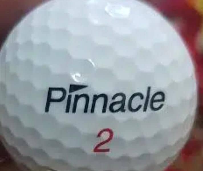 Golf balls New (Wilson+Nike+Pennicle+DunLop+Slazenger + topflite ) 10