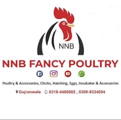 NNB fancy poultry  ,incubator, brooder , birds , poultry  accessory