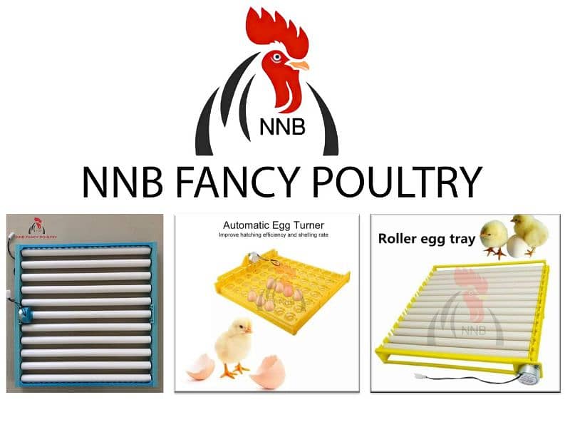 NNB fancy poultry  ,incubator, brooder , birds , poultry  accessory 2