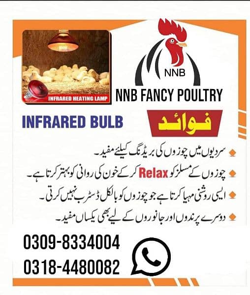 NNB fancy poultry  ,incubator, brooder , birds , poultry  accessory 9