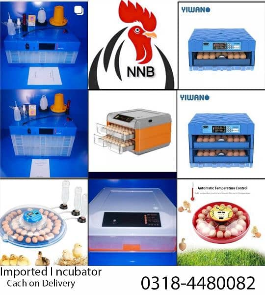 NNB fancy poultry  ,incubator, brooder , birds , poultry  accessory 10