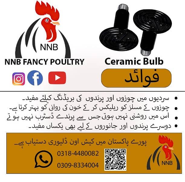 NNB fancy poultry  ,incubator, brooder , birds , poultry  accessory 13