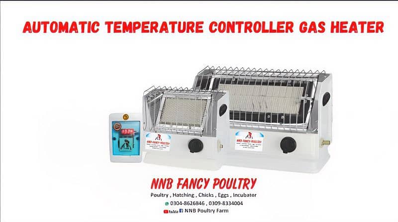 NNB fancy poultry incubator, brooder , birds , poultry  accessory 16