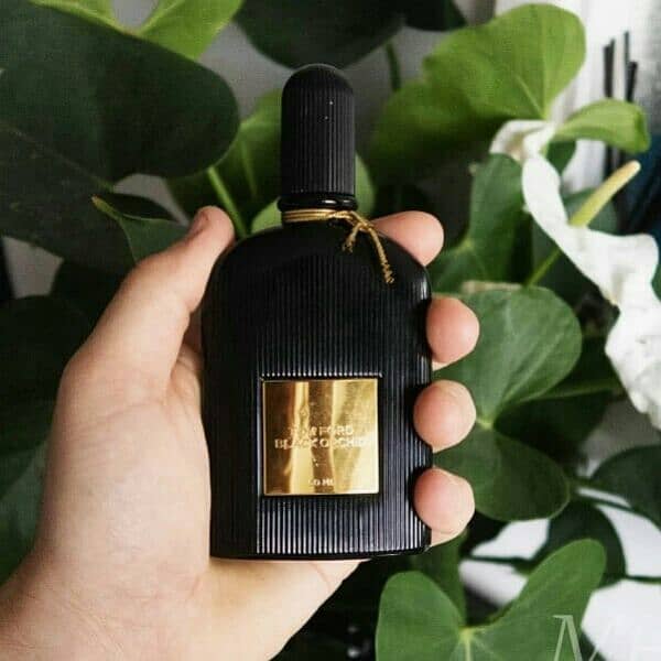fragrance original 4