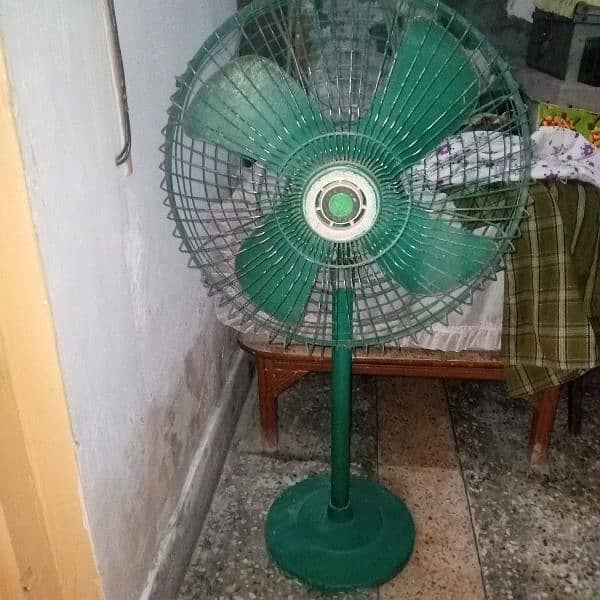 CHINAB FAN OLD IS GOLD 0