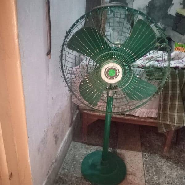CHINAB FAN OLD IS GOLD 1
