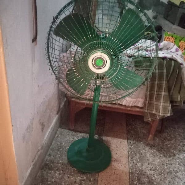 CHINAB FAN OLD IS GOLD 2