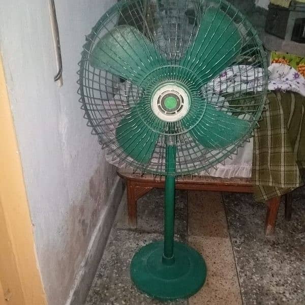 CHINAB FAN OLD IS GOLD 3