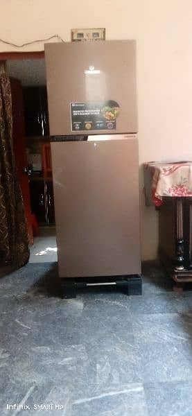 New Refrigerator 1