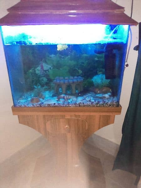 2*1.5*2 (L*W*H) ft aquarium with fishes+ all accessories 4