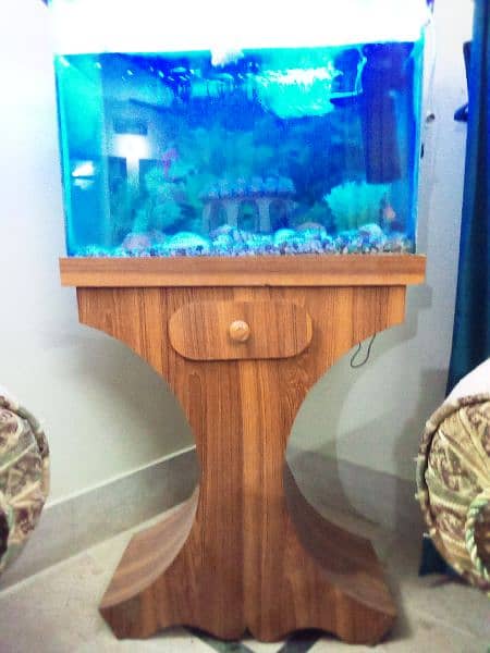2*1.5*2 (L*W*H) ft aquarium with fishes+ all accessories 5