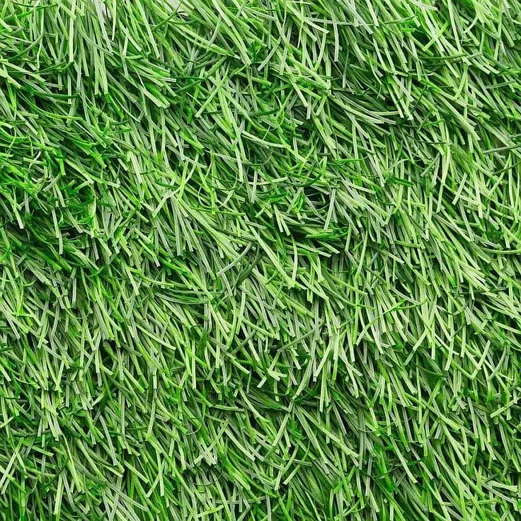 Field grass | Roof grass | Artificial Grass | Grass Carpet Lash Green 7