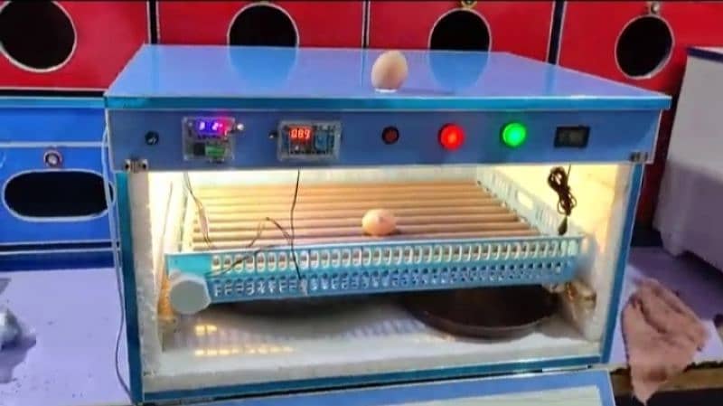 انڈے سے چُوزا نکِالنے والی مشین incubator & Brooder 4