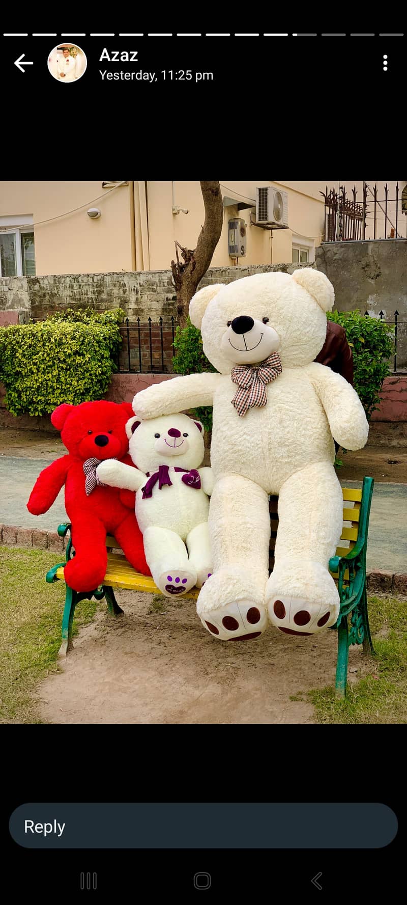 imported Teddy bear 15