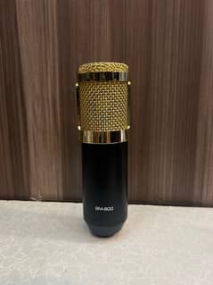 BM 800 condensor mic for all video recording purpose