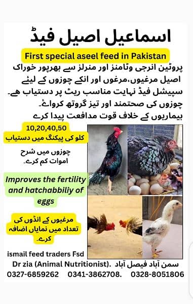 poultry feed and wanda 0328-8051806 (cow,sheep,goat,aseel, layer,) 5