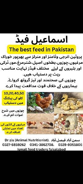 poultry feed and wanda (cow,sheep,goat,aseel, layer,) 4