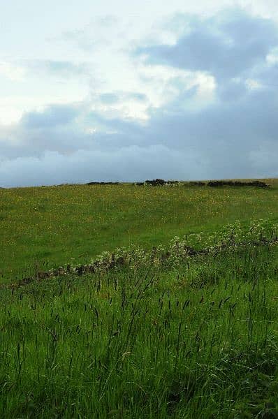 female physiotherapist,physiotherapy  required