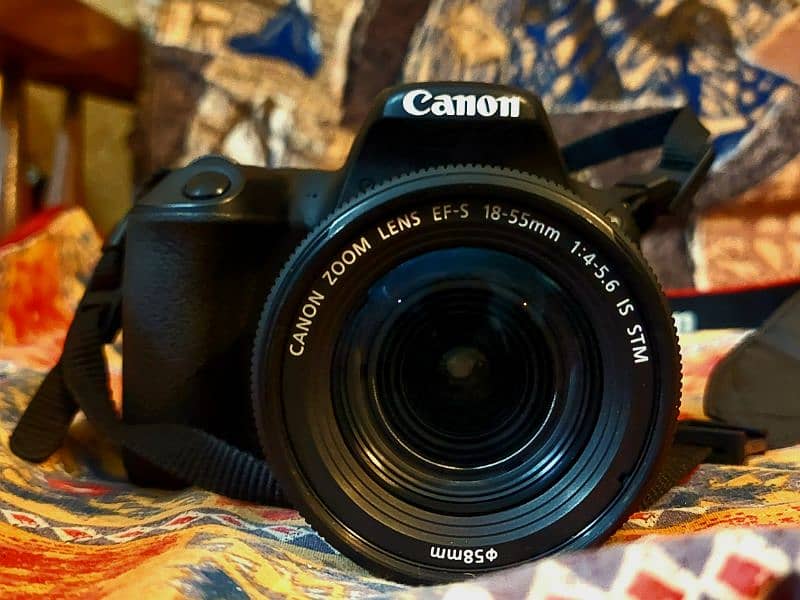 Canon 200d with 2 lenses 50-255mm & 18-55mm stm 2