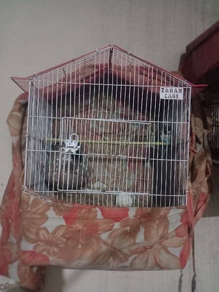 cage for parrot 2