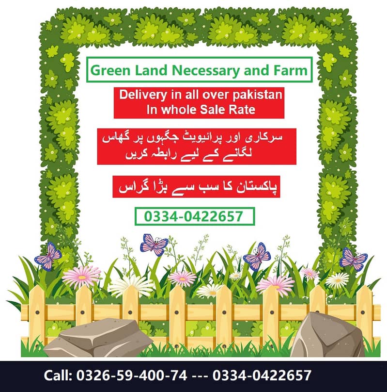 Natural korean Grass and American  and Fine Dhaka Grass 0