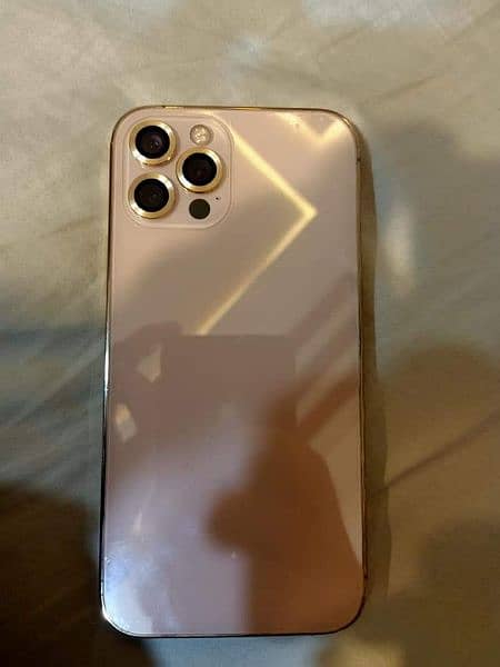 12 Pro PTA Approved Gold 256GB 3