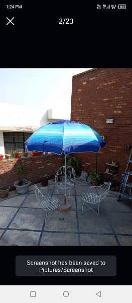 umbrella 8