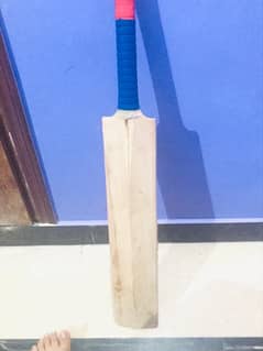 midz cricket bat