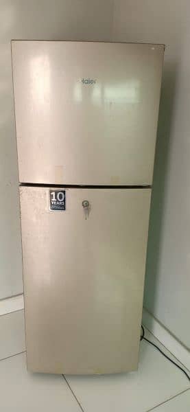 fridge 2