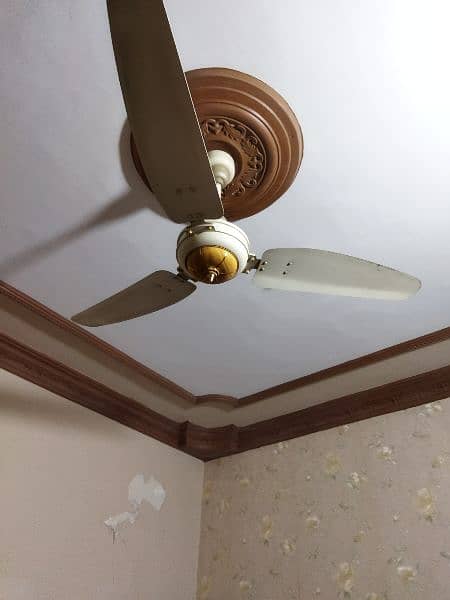 Royal ceiling fan 56 inch 0