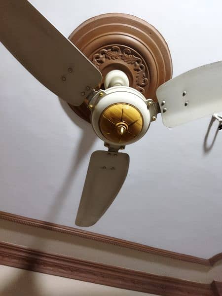 Royal ceiling fan 56 inch 1