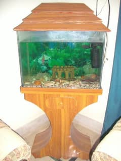 2*1.5*2 (L*W*H) ft aquarium with fishes+ all accessories