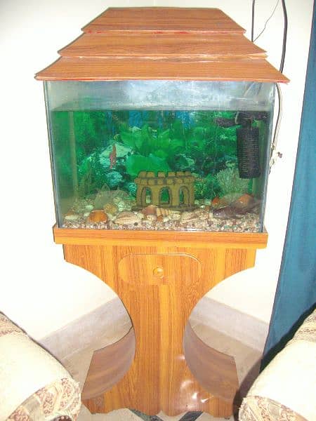 2*1.5*2 (L*W*H) ft aquarium with fishes+ all accessories 0