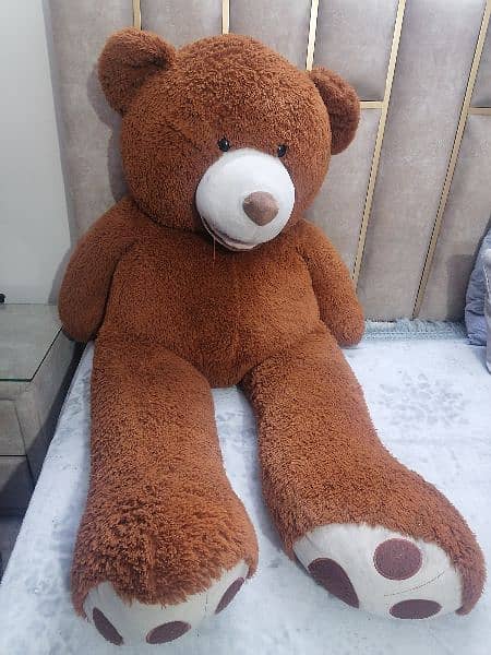 Big Size Cute Teddy bear 1
