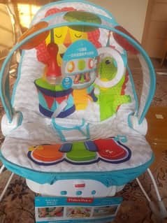 Fisher-Price baby bouncer.