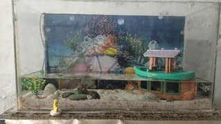 fish aquarium  with 4 pear fish