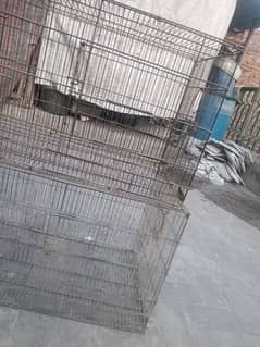 3 cages available