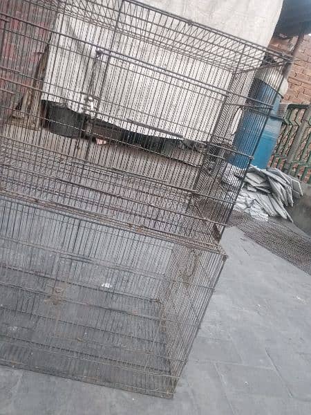 3 cages available 0