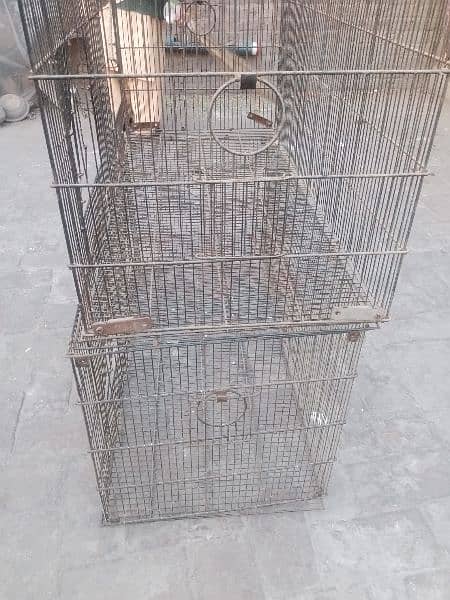 3 cages available 1