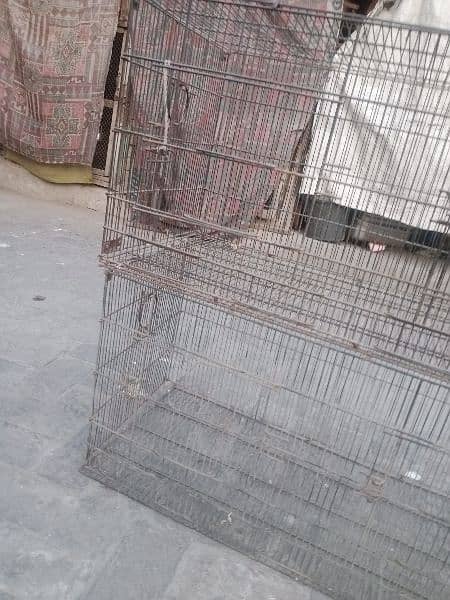 3 cages available 2