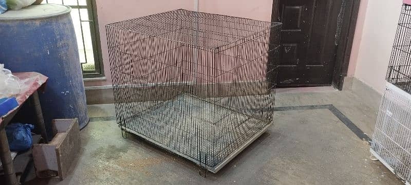 Aviary cage 1