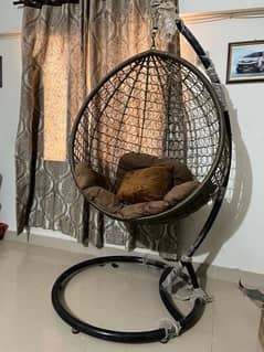Egg shape hanging swing with cushion