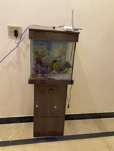 Big Sized Fish Aquarium For Sale