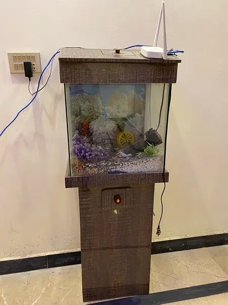 Big Sized Fish Aquarium For Sale — photo 2