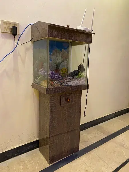 Big Sized Fish Aquarium For Sale — photo 4